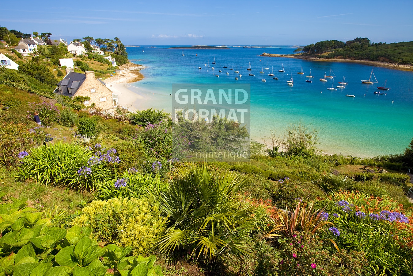 Pabu Bretagne photo impression et toile