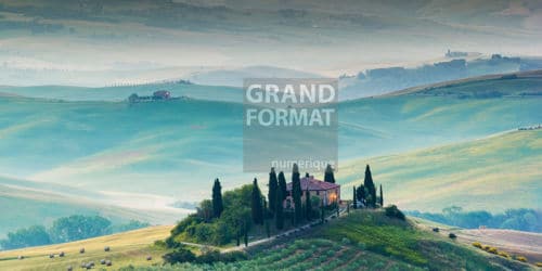 Vignes, Italie photo impression et toile