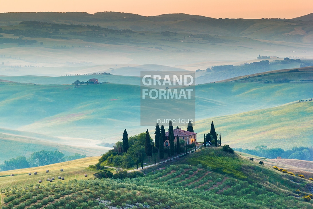 Vignes, Italie photo impression et toile
