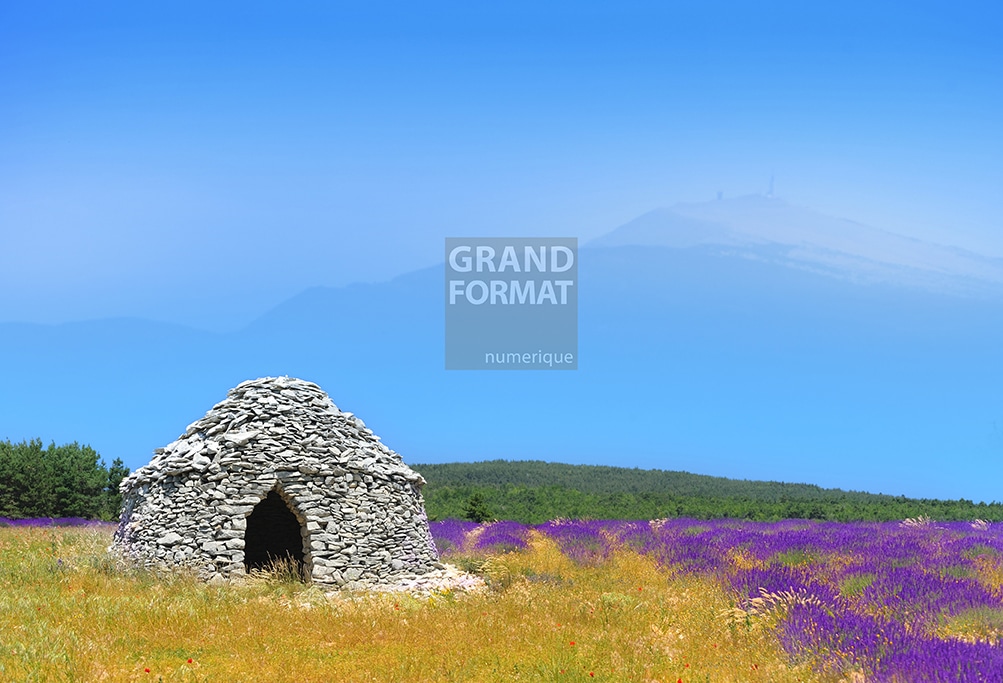 Lavande, champs photo impression et toile